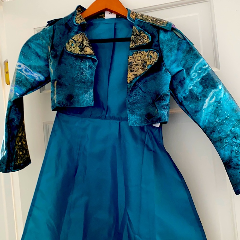 Disney descendent costume/ play dress